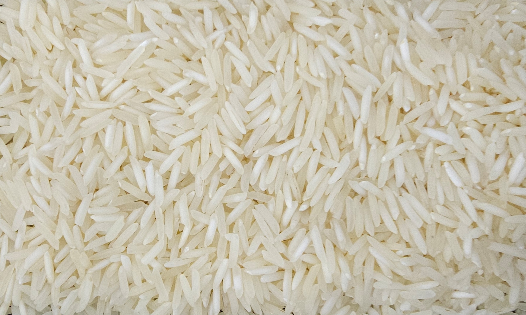 Traditional Raw Basmati Rice